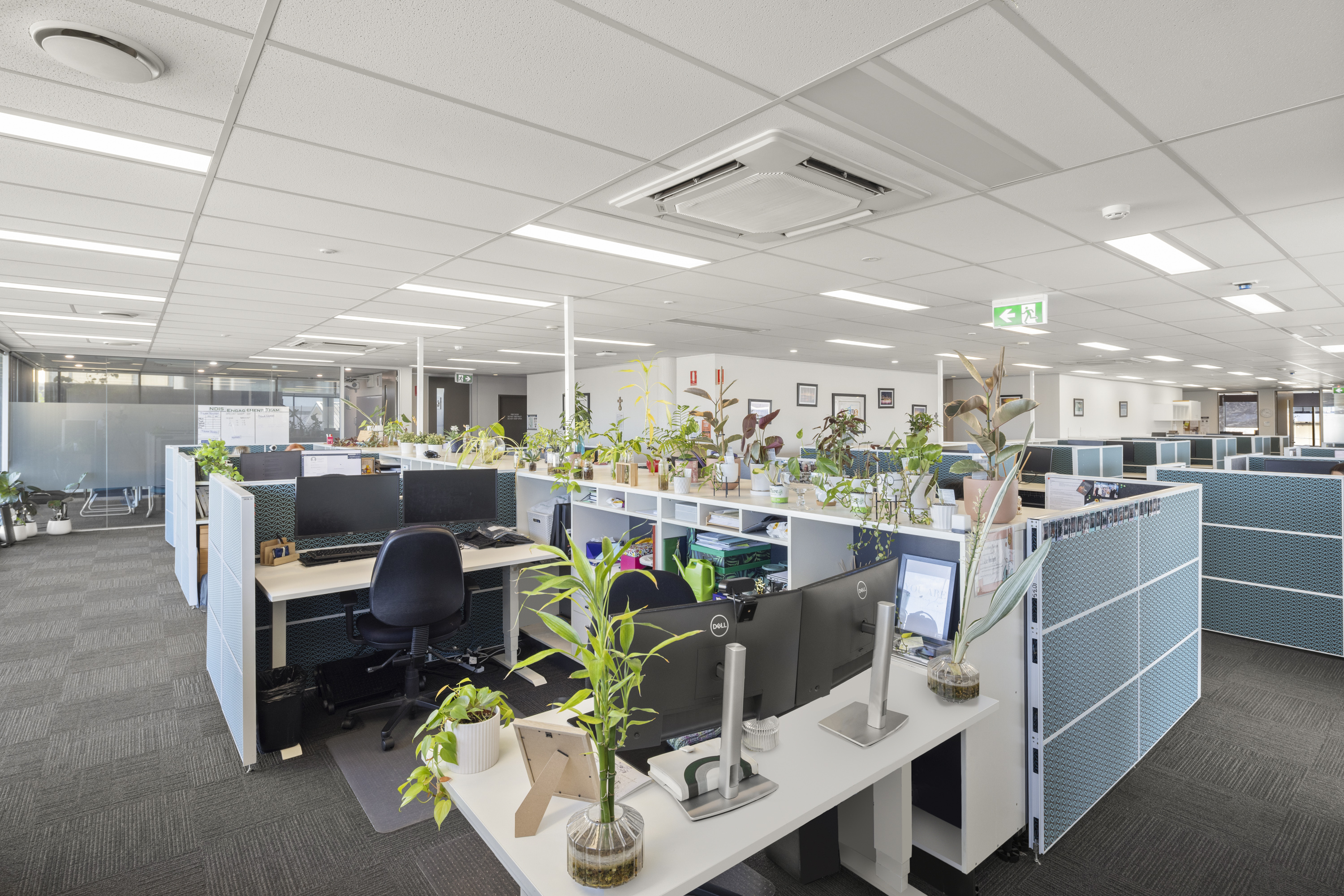 50 Cleveland Street, Stones Corner